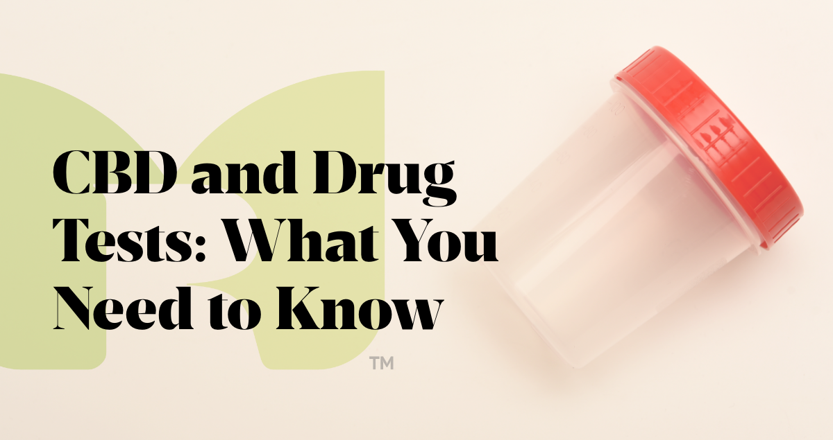 CBD and Drug Tests: What You Need to Know