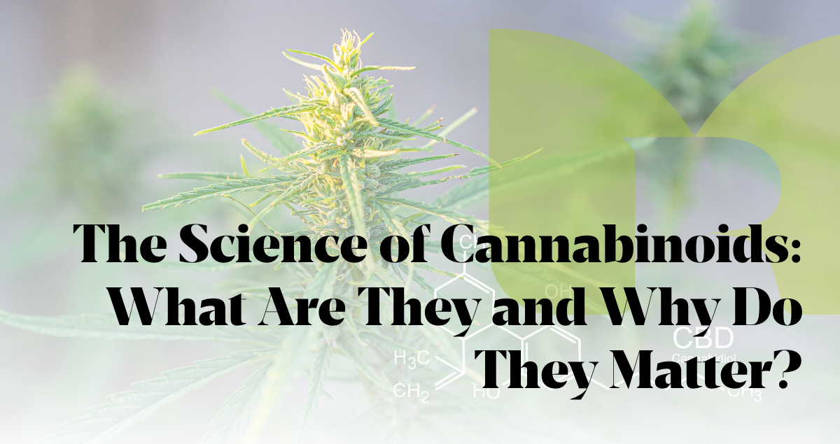 The Science of Cannabinoids: What Are They and Why Do They Matter?